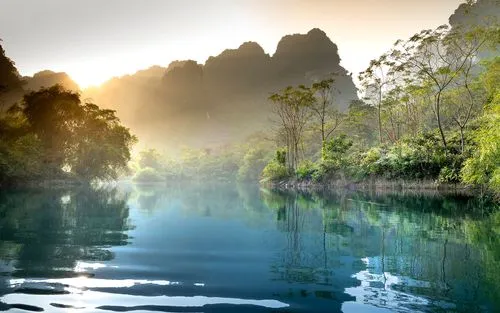 科技电子高效